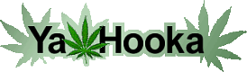 The Guide to Marijuana on the Internet