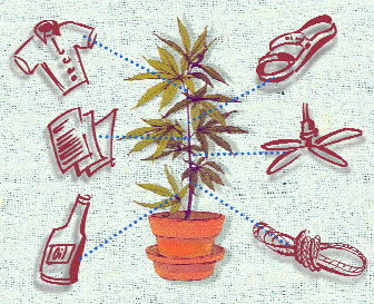 Cannabis is; Food, Fuel, Fiber, and Medicine (and you can smoke it to)
